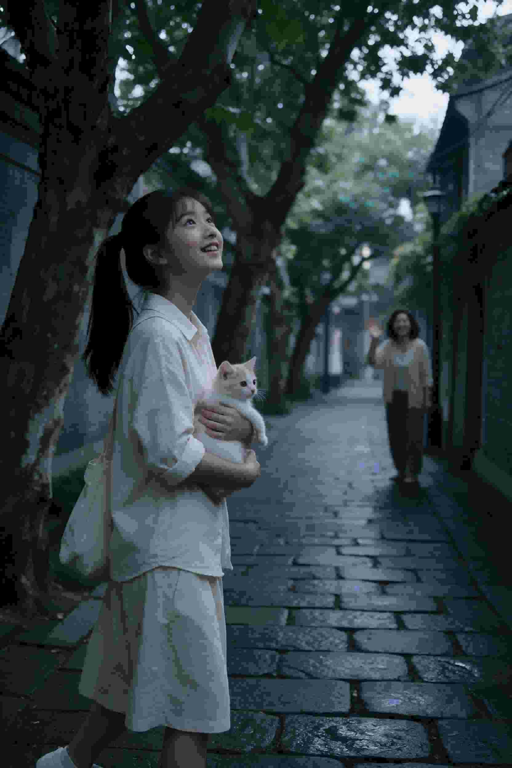 最新短剧5